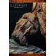 Warcraft Film Universe Durotan Big-Budget Premium Statue Version 2 103 CM