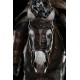 Lord of the Rings Statue 1/6 Eomer on Firefoot 53 cm