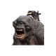 The Lord of the Rings Statue 1/6 The Cave Troll of Moria 62 cm