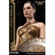 Wonder Woman Statue Wonder Woman Training Costume 79 cm