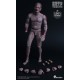 WorldBox 1/6 Durable body zombie